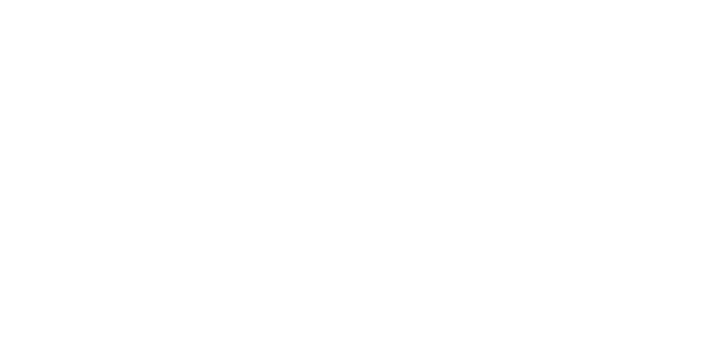 Wiz